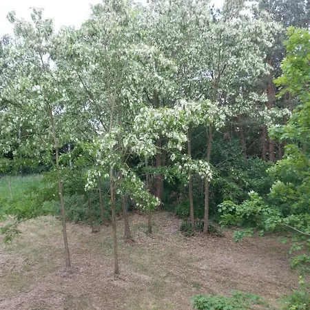 Grosse Nossentiner Huette