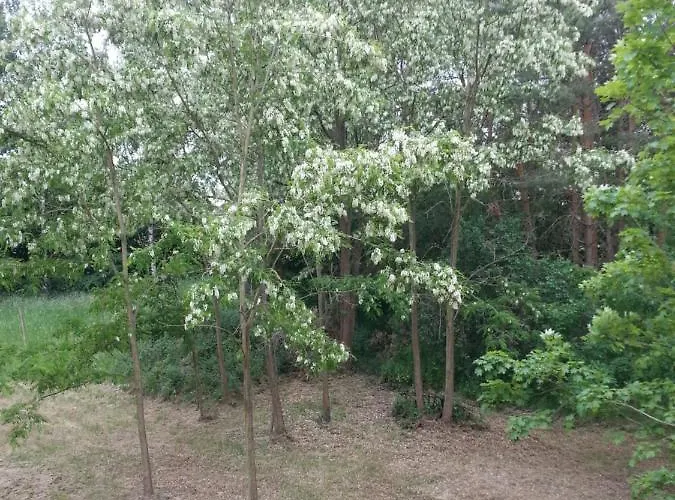 Grosse Nossentiner Huette